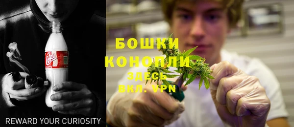 шишки Балахна