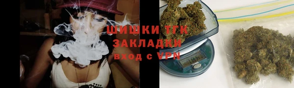 шишки Балахна