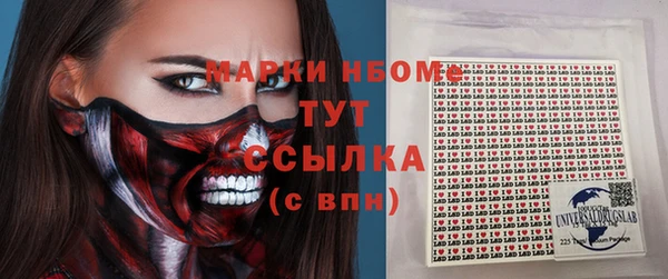 шишки Балахна