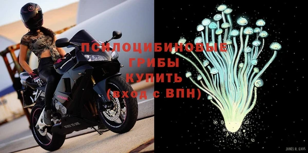 ECSTASY Баксан