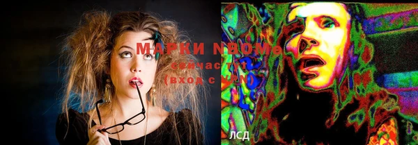 шишки Балахна